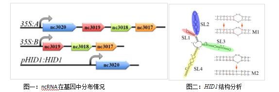 http://biomarker.com.cn/pic/images/20160530_164633.jpg